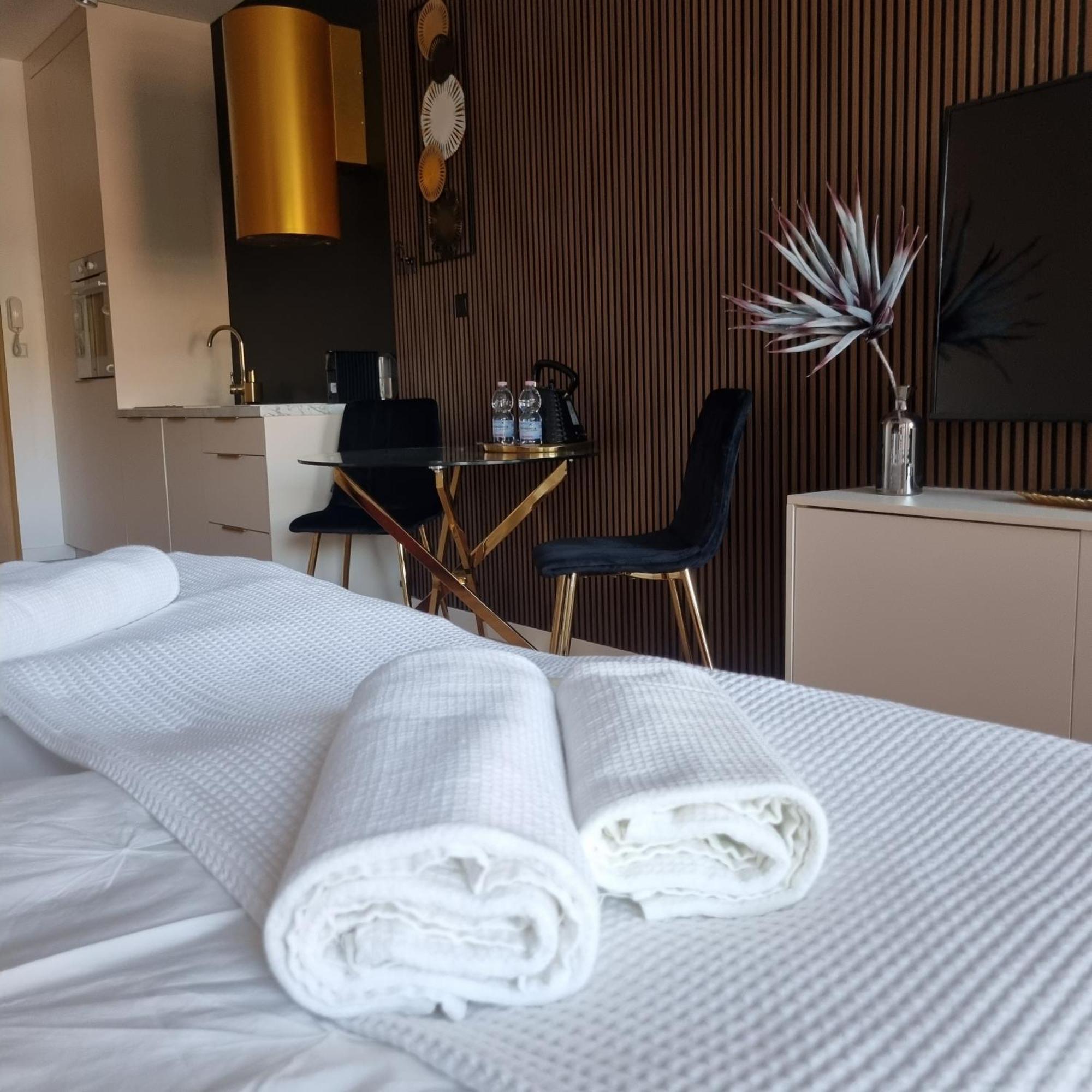 Bastion Walowa Apartament Srodmiescie Centrum Gdańsk Eksteriør billede